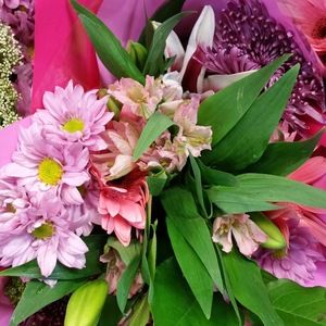 Meet your Posher, Demeteral